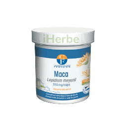 Fenioux Maca 90 Gelules