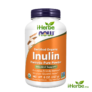 NOW Foods Inuline Bio Poudre Prébiotique Certifiée Organique